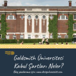 Goldsmith Üniversitesi Kabul Şartları Neler?